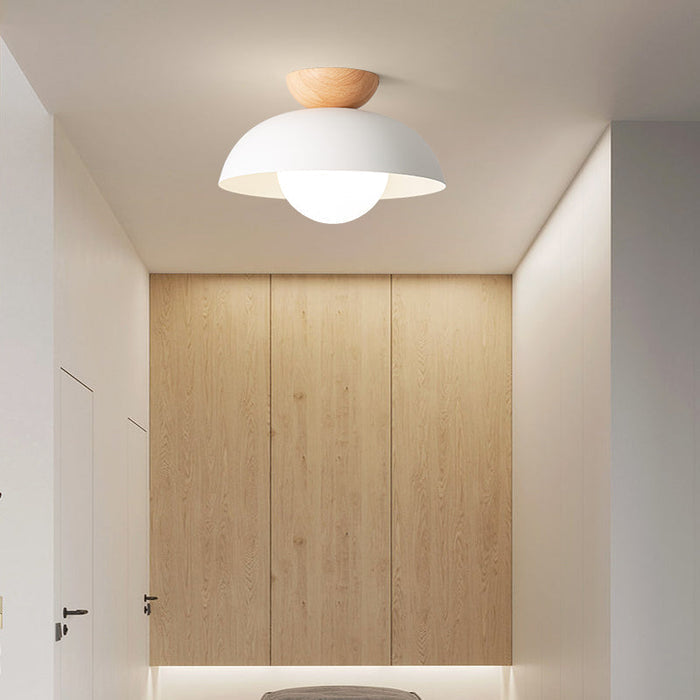 Plafonnier Dôme Fer Minimaliste — Design Nordique