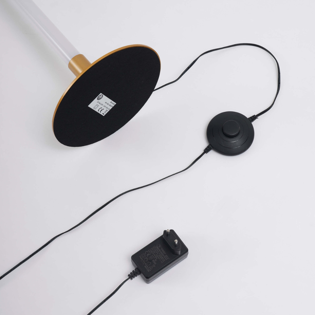 Lampadaire RGB Dimmable Base Ronde — Télécommande Incluse