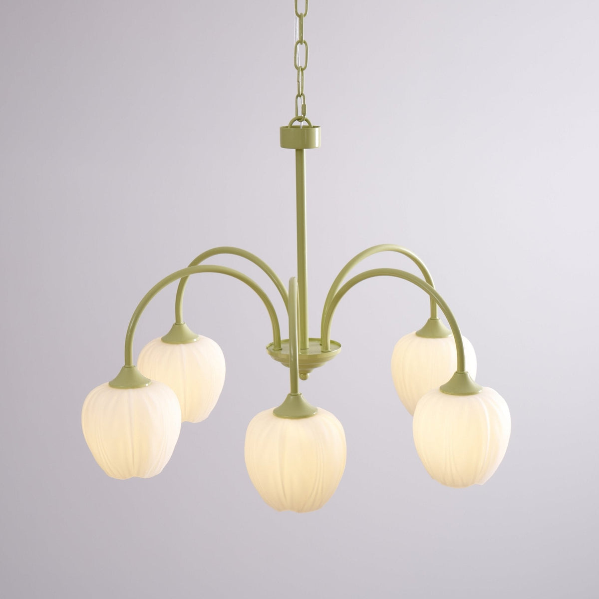 Lustre 5 Branches Floral Verre — Structure Inox