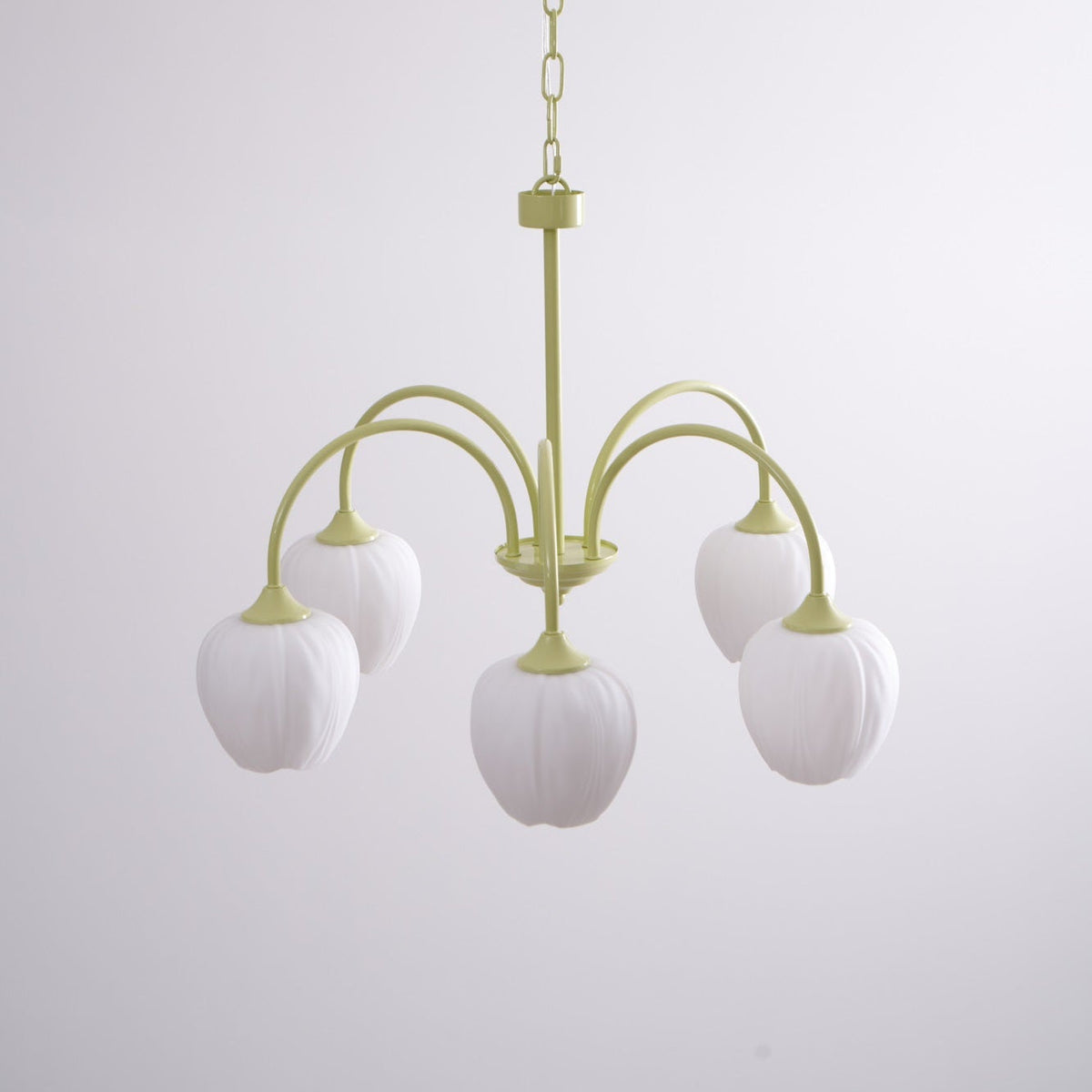 Lustre 5 Branches Floral Verre — Structure Inox