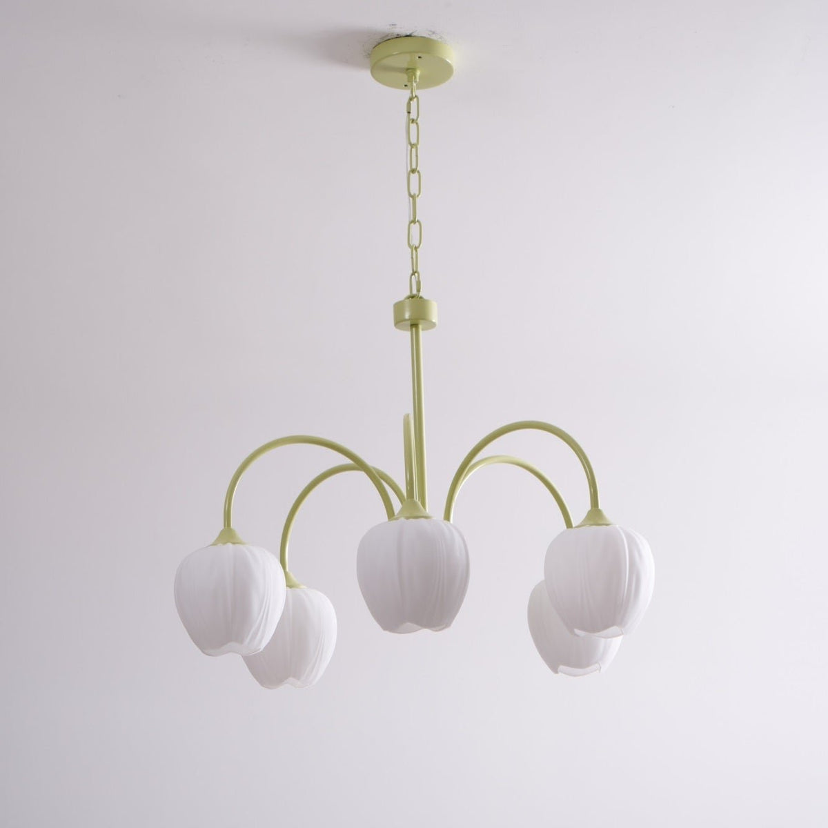 Lustre 5 Branches Floral Verre — Structure Inox