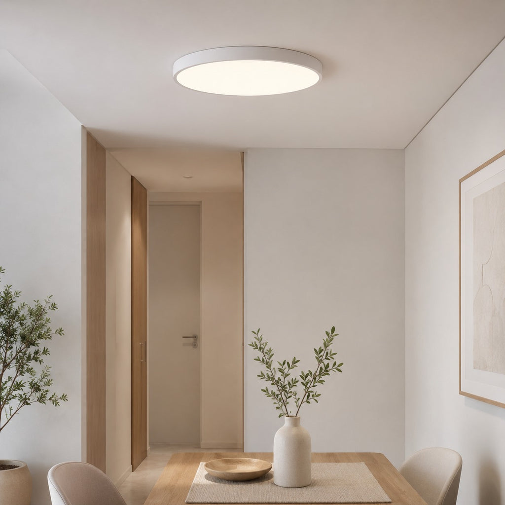 Lumiris plafonnier LED blanc arrondi et plat, design moderne, éclairage dimmable, verre givré, 23-60cm