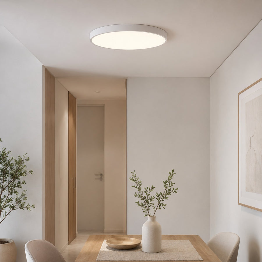 Lumiris plafonnier LED blanc arrondi et plat, design moderne, éclairage dimmable, verre givré, 23-60cm